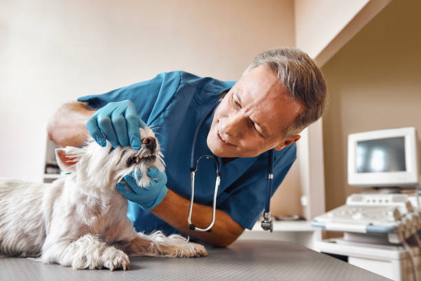 Best Weekend Emergency Dentist in Burr Ridge, IL