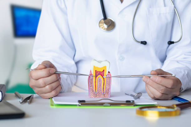Best Emergency Dental Care for Broken or Chipped Teeth in Burr Ridge, IL